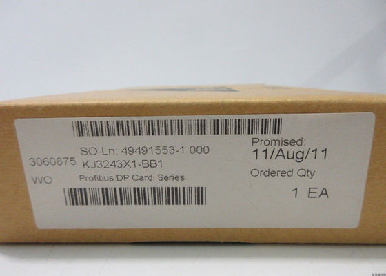 CARTA DI INTERFACCIA DI DP DI PROCESSO KJ3243X1-BB1 VE4022 PROFIBUS DI EMERSON DELTAV