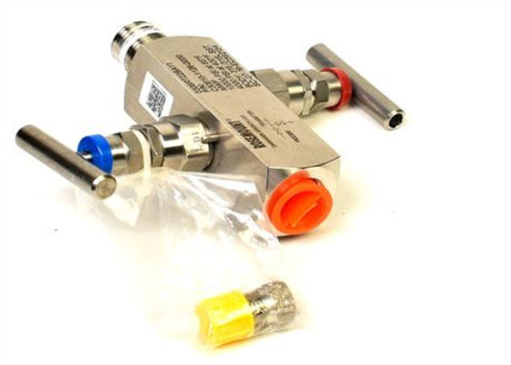 Emerson 0306RT22BA11 EmersonAnalytical In-Line Style Manifold Nuovo