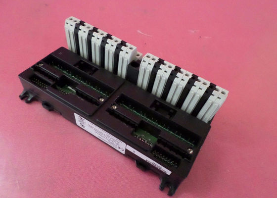 Il blocco terminale GE Fanuc IC670CHS002 è un blocco terminale I/O con terminali a scatola