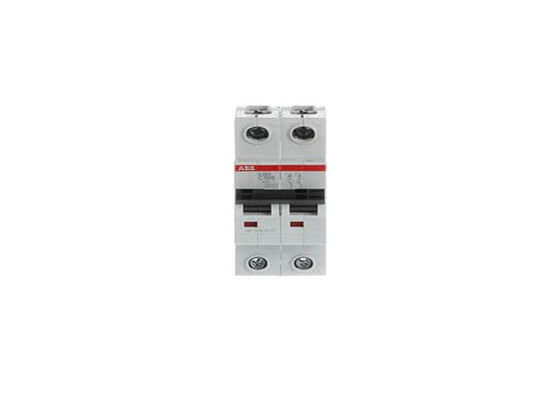 ABB S202-C100 2CDS252001R0824 S202-C100 Interruttore in miniatura - 2P - C - 100 A