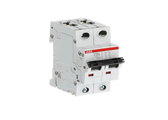 ABB S202-C100 2CDS252001R0824 S202-C100 Interruttore in miniatura - 2P - C - 100 A