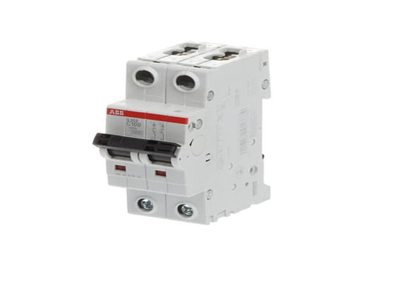 ABB S202-C100 2CDS252001R0824 S202-C100 Interruttore in miniatura - 2P - C - 100 A