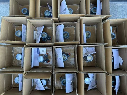 Rosemount 3051TG1A2B21A Trasmettitore di pressione di calibro per il controllo dei processi