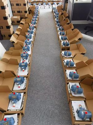 Rosemount 3051TG1A2B21A Trasmettitore di pressione di calibro per il controllo dei processi